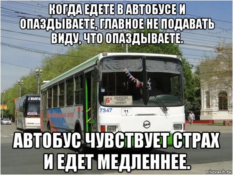 Автобус есть туда. Автобус прикол. Шутки про общественный транспорт. Шутки про автобус. Мемы про автобус.